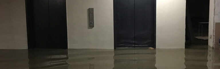 dental school flood