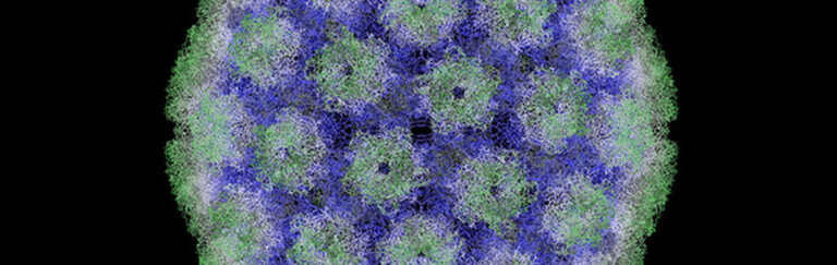 10 Million Reasons that Treatment of Cancers Caused by Viruses May Advance