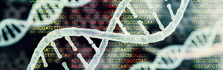 Methods to Understand Gene Interactions