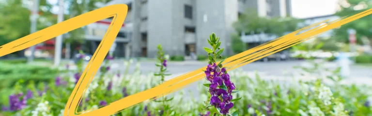 Gift accounting and legal